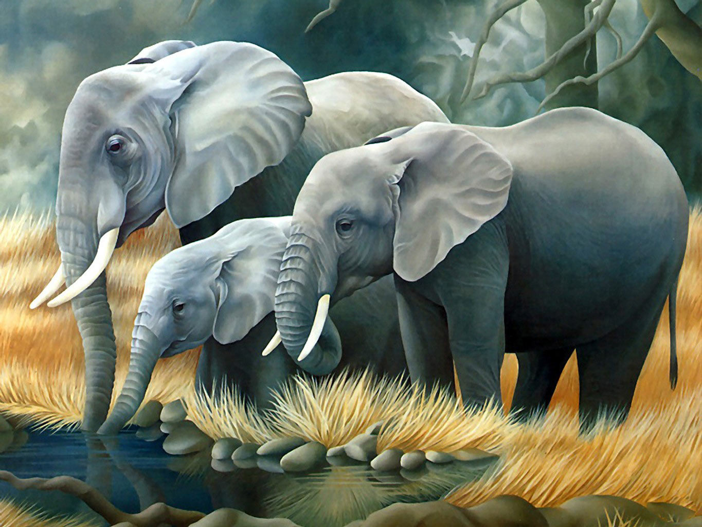 Best Elephant Wallpapers