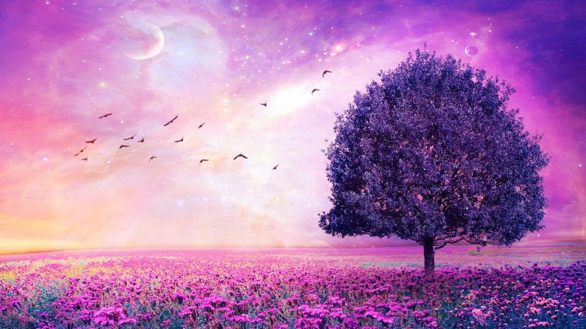 Best Purple Wallpapers