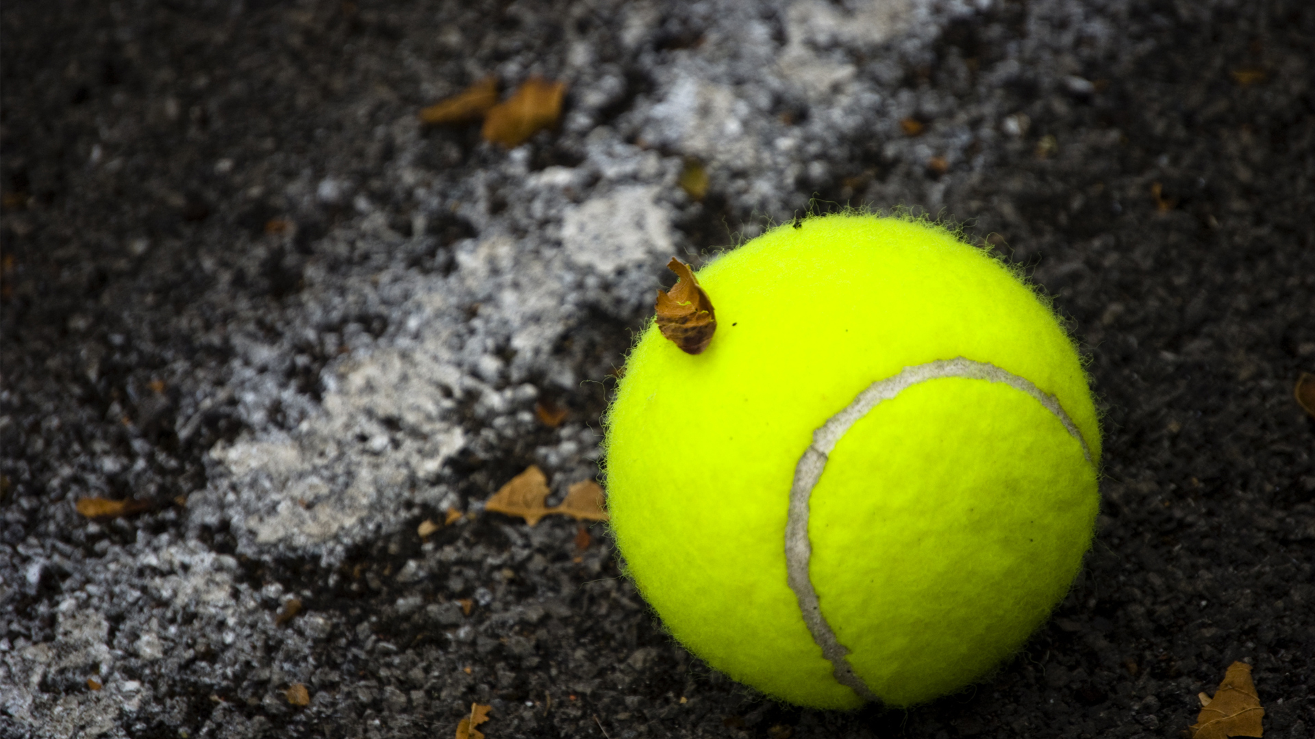 Best Tennis Wallpapers