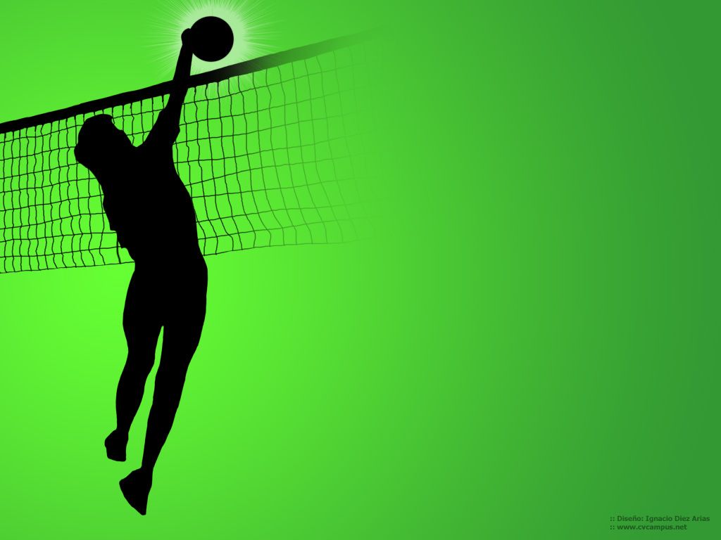 Best Volleyball Wallpapers