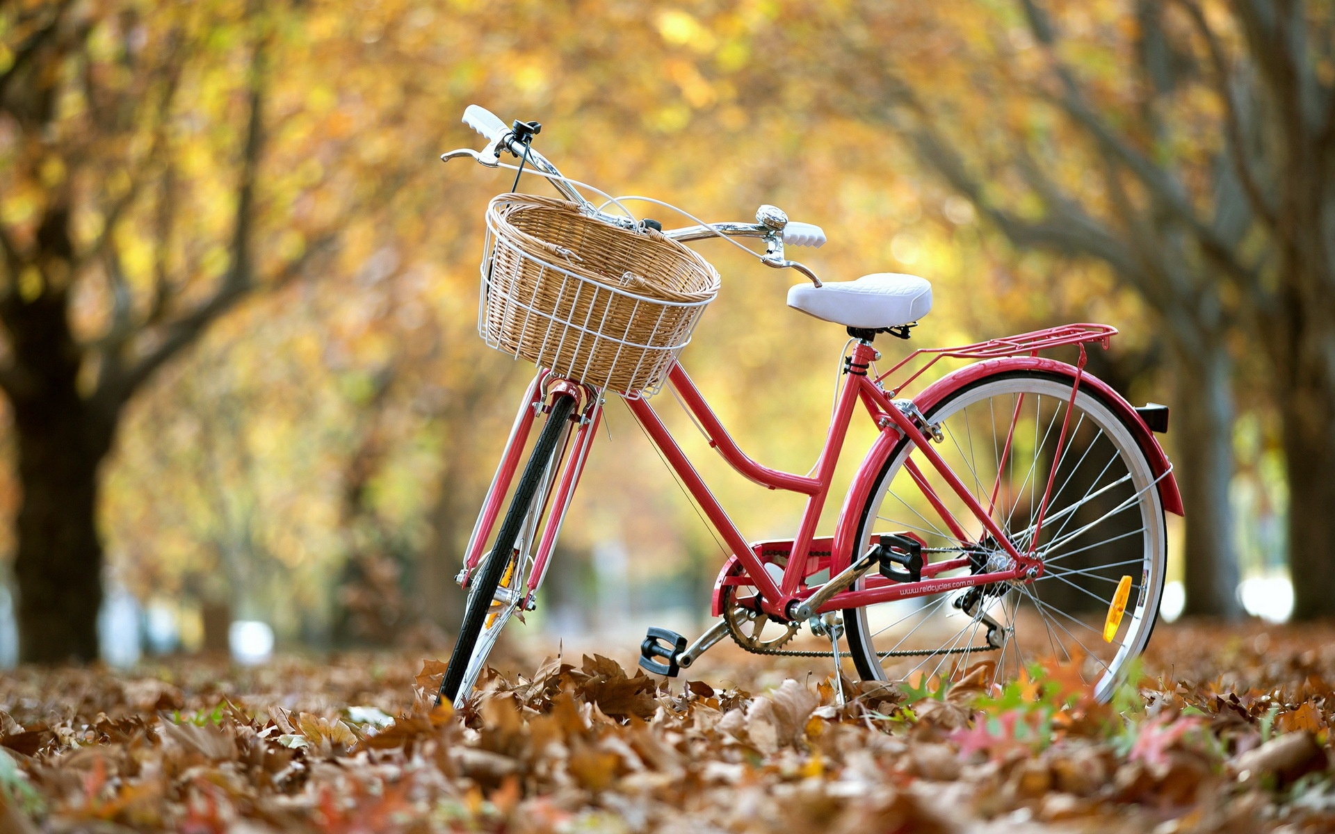 Bicycle Desktop Wallpapers