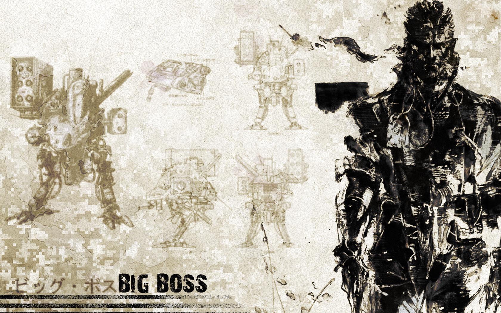 Big Boss 1920X1080 Wallpapers