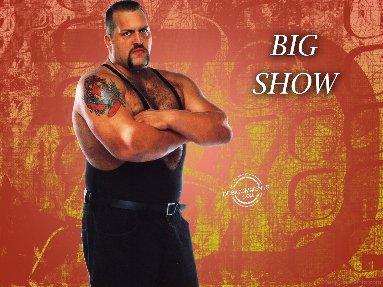 Bigshow Wallpapers