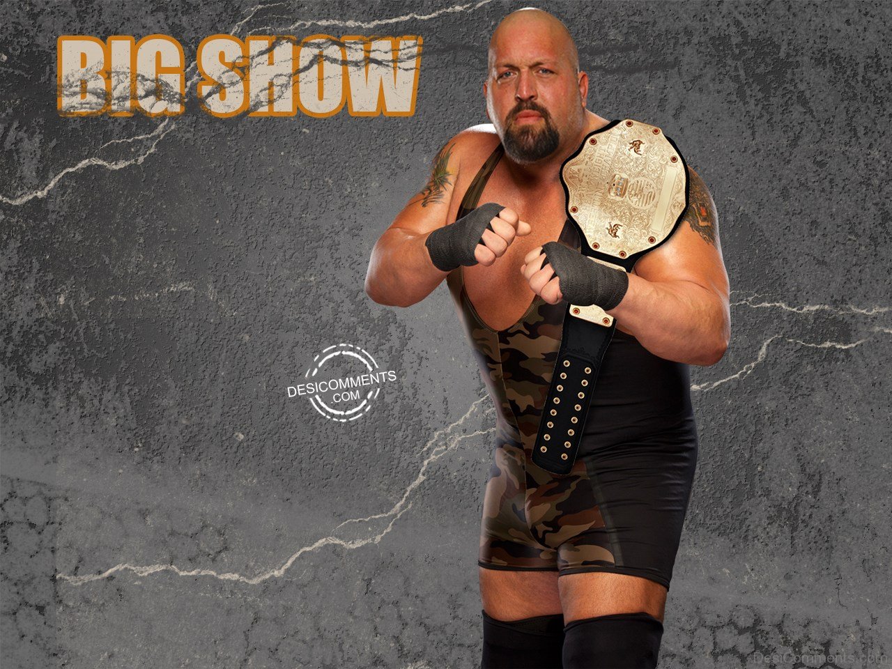 Bigshow Wallpapers