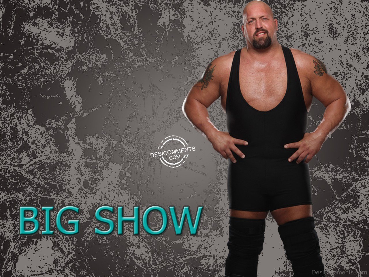 Bigshow Wallpapers