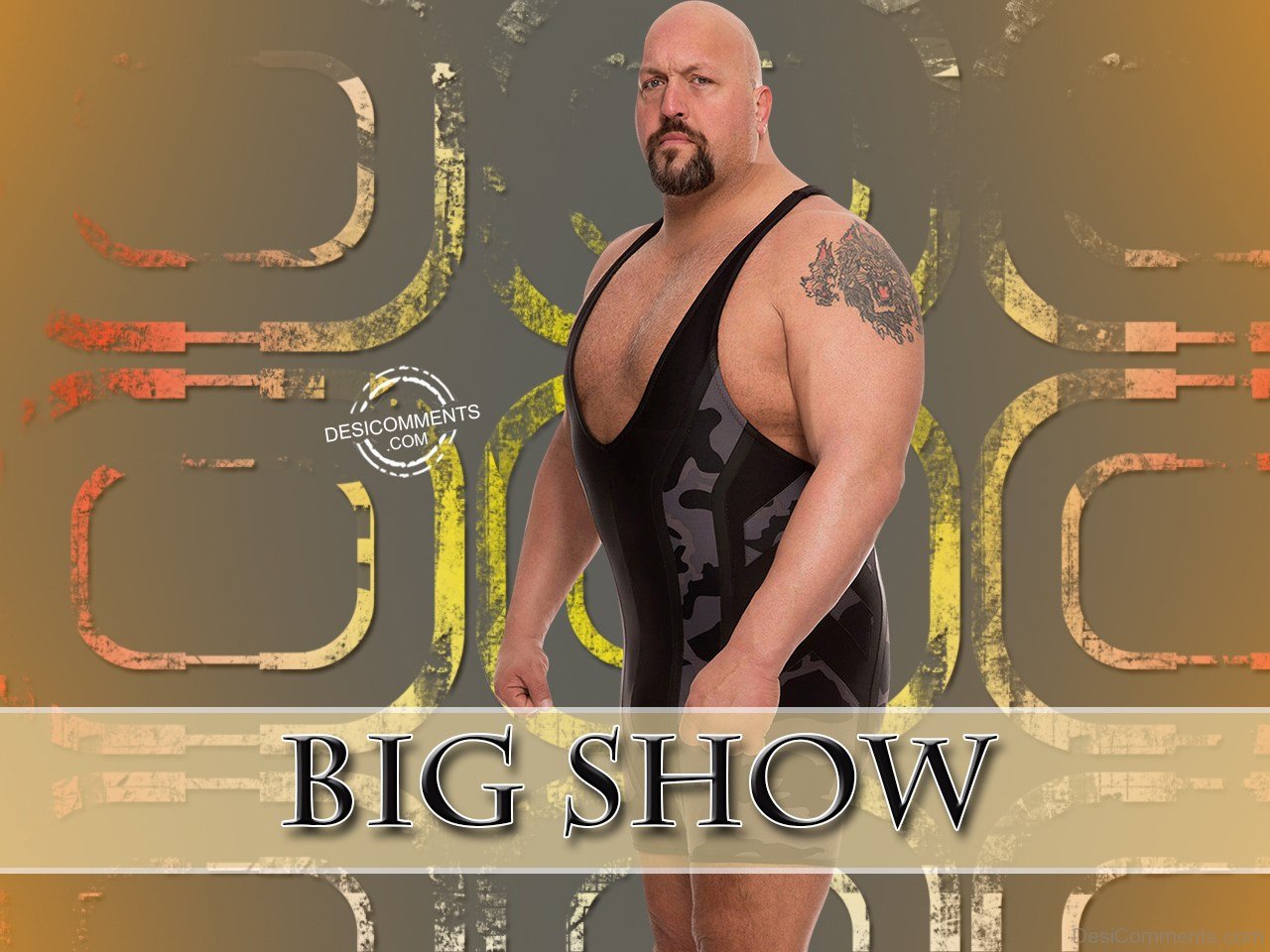 Bigshow Wallpapers