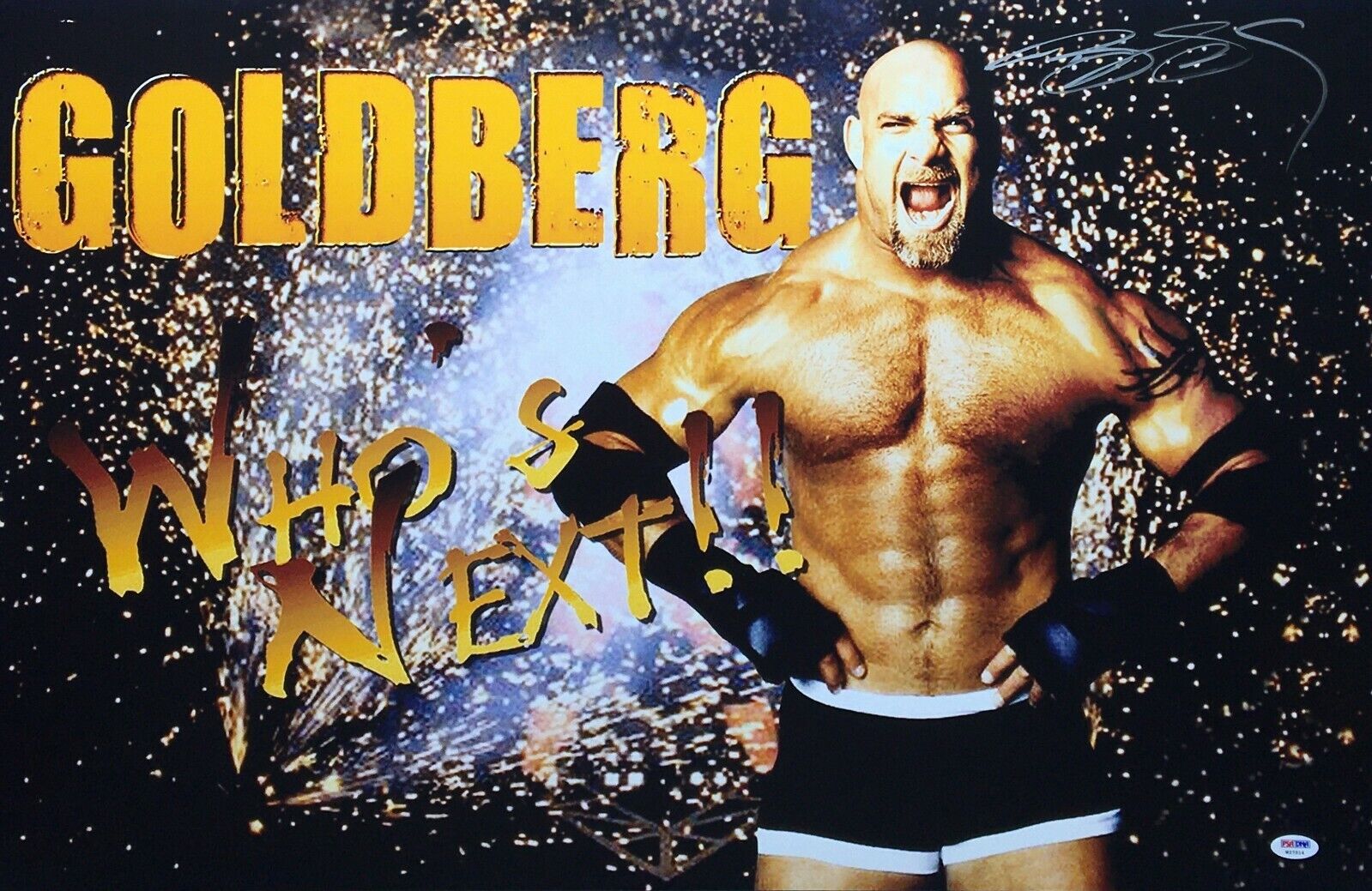 Bill Goldberg Pics Wallpapers