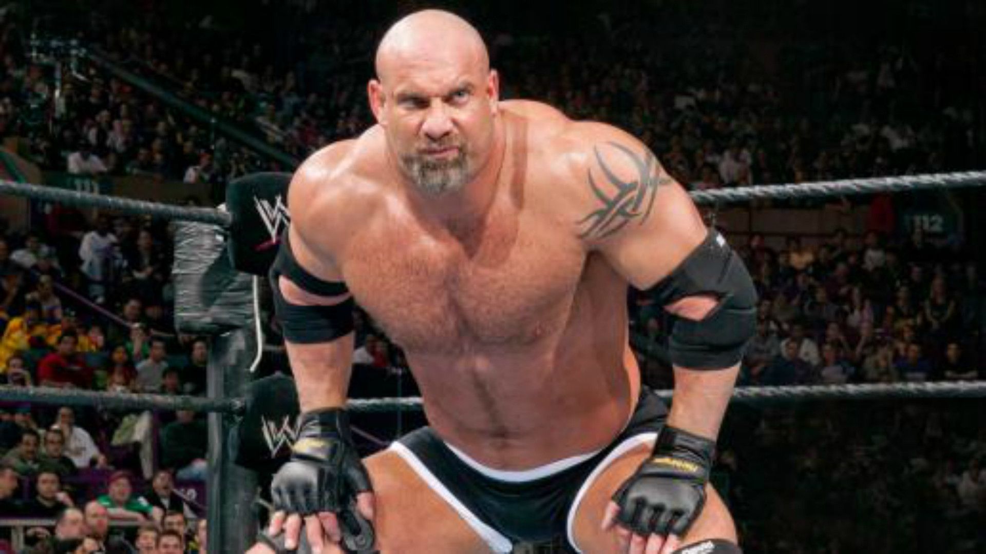 Bill Goldberg Pics Wallpapers