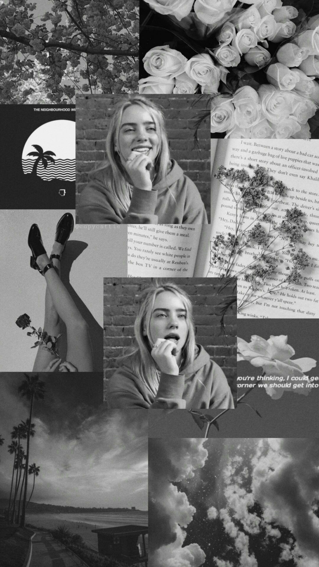 Billie Eilish Aesthetic Pictures Wallpapers