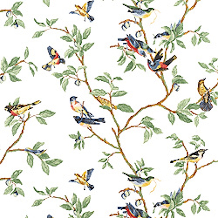 Bird Little Wallpapers