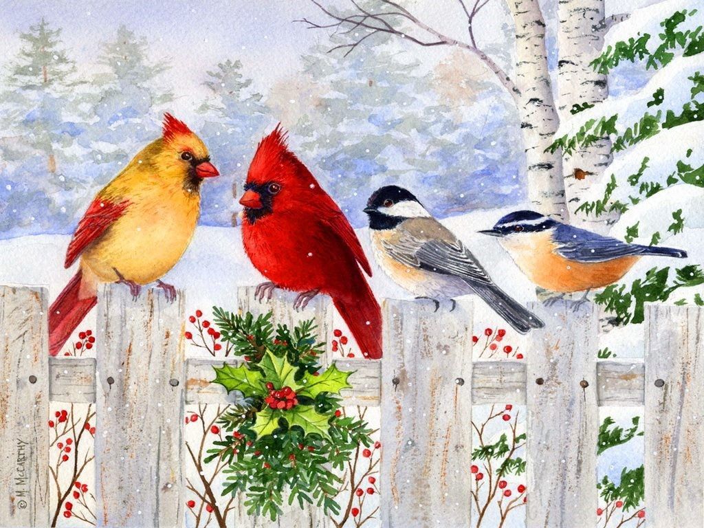 Bird Painting Images Wallpapers