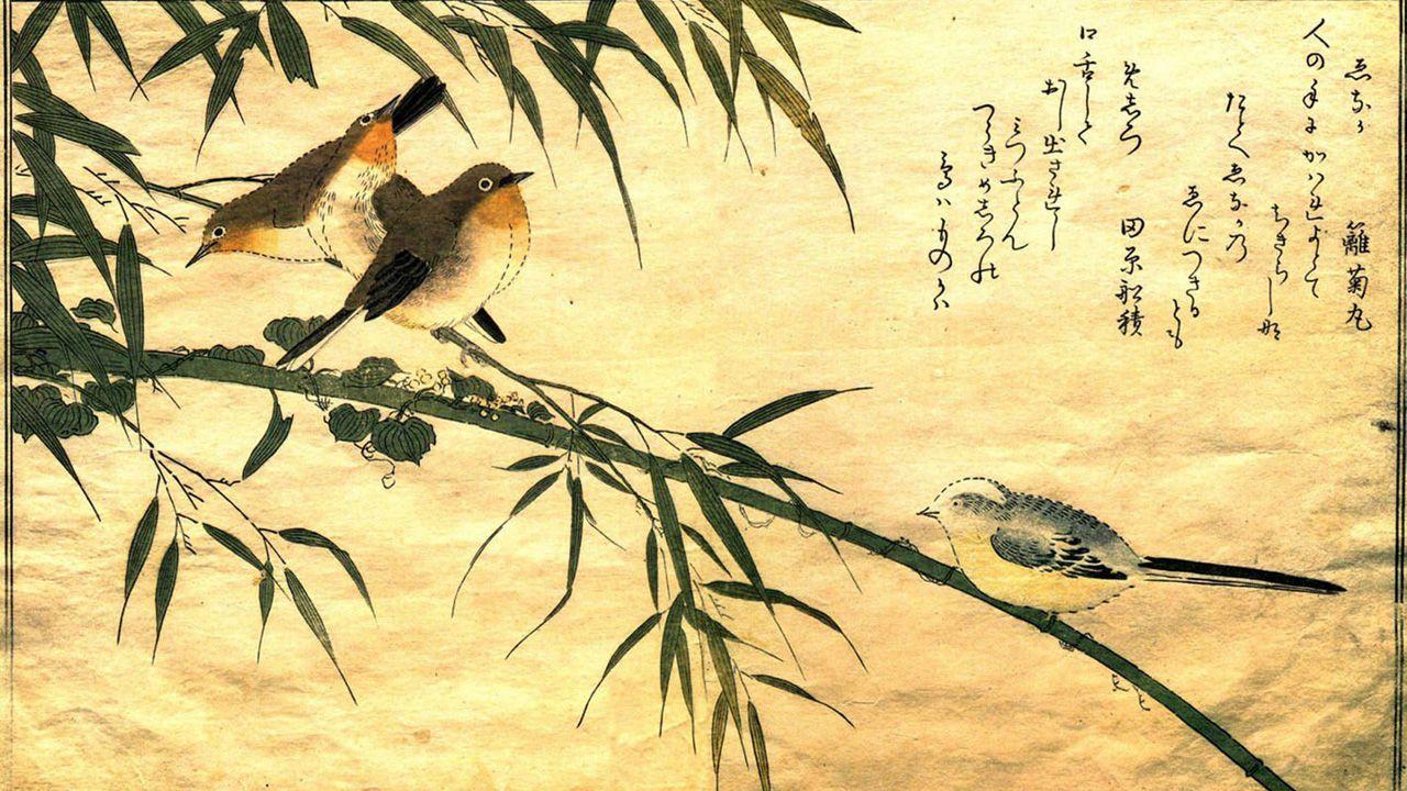 Bird Painting Images Wallpapers