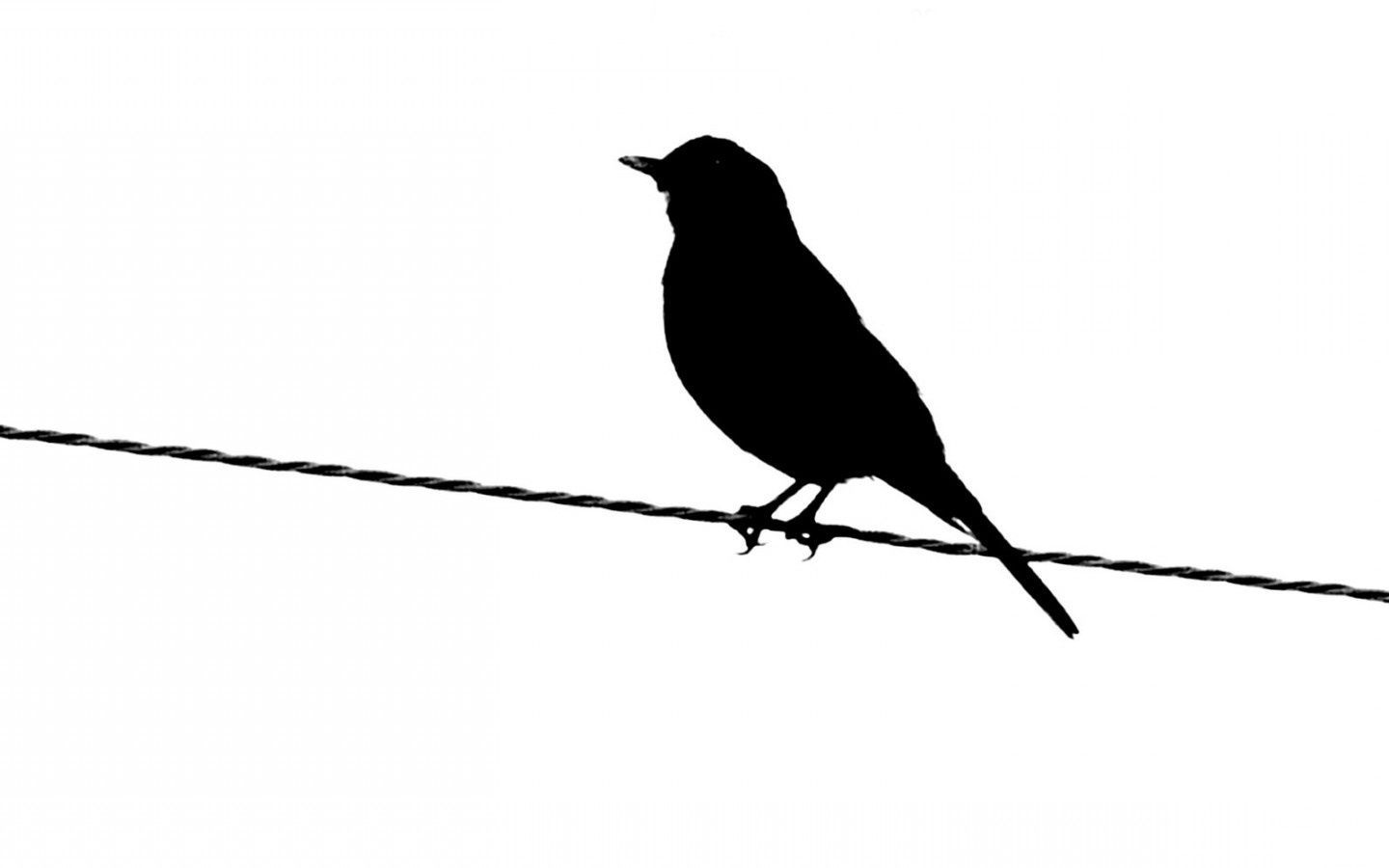 Bird Silhouette Wallpapers