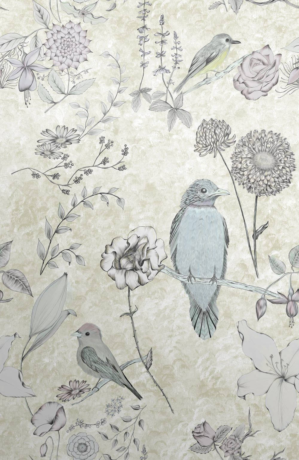 Birds Aesthetic Wallpapers