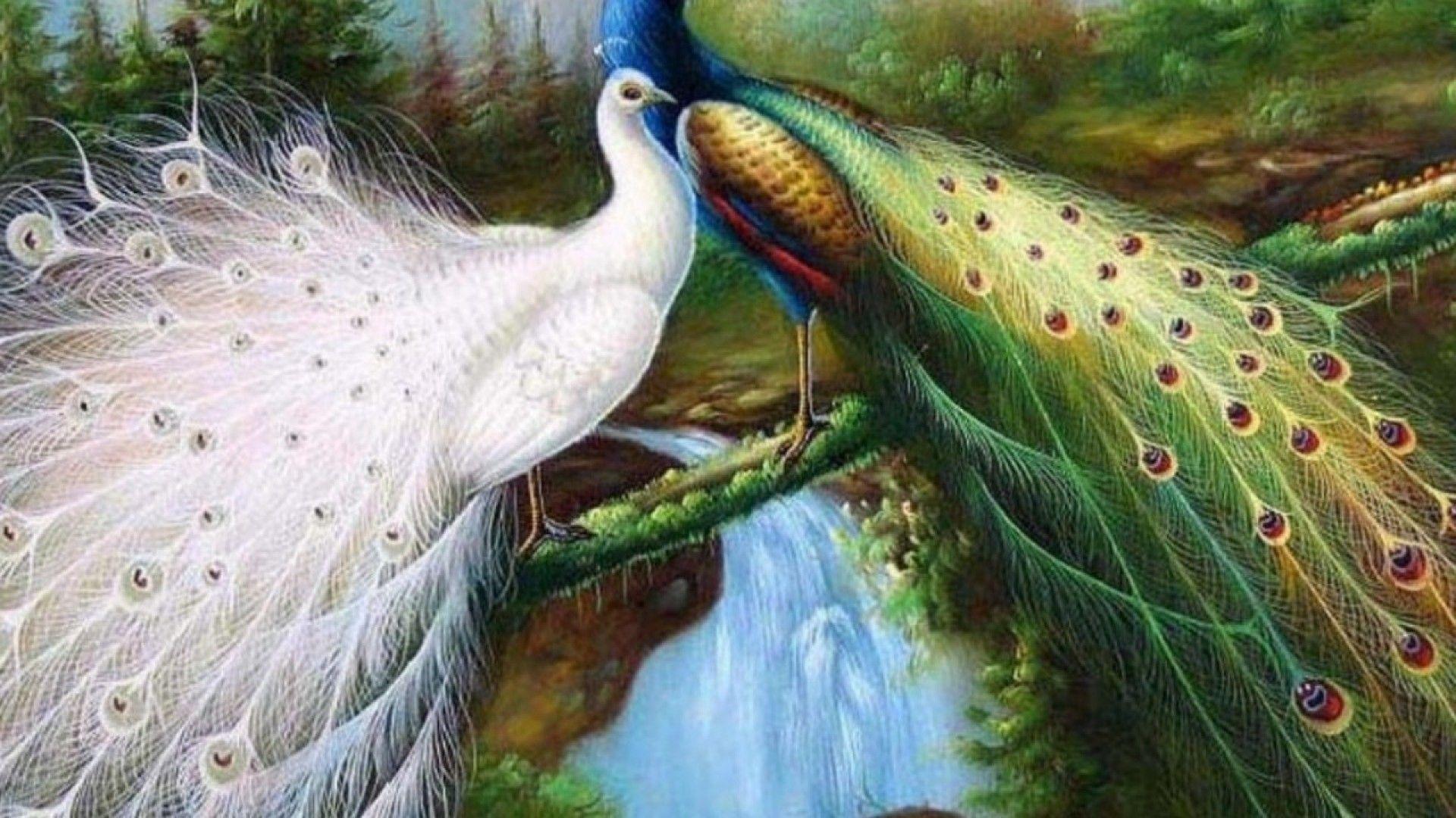 Birds Nature Wallpapers