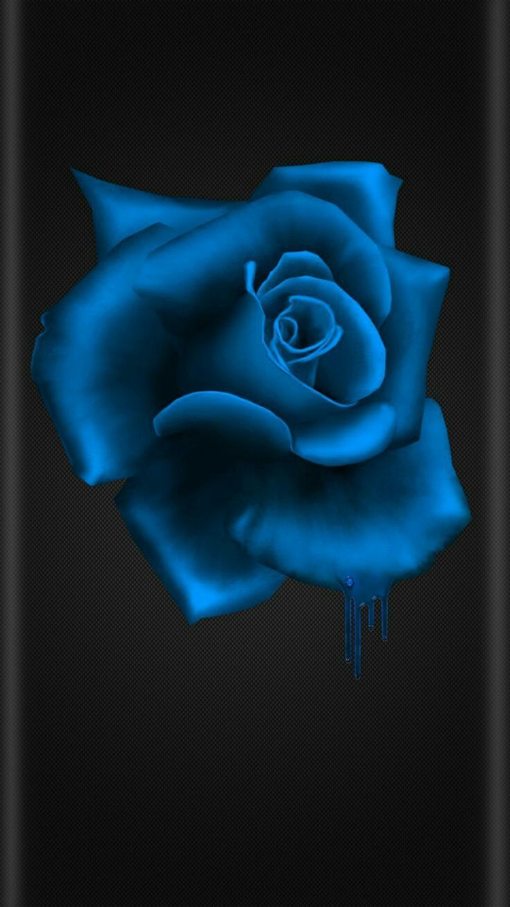 Black And Blue Flower Wallpapers