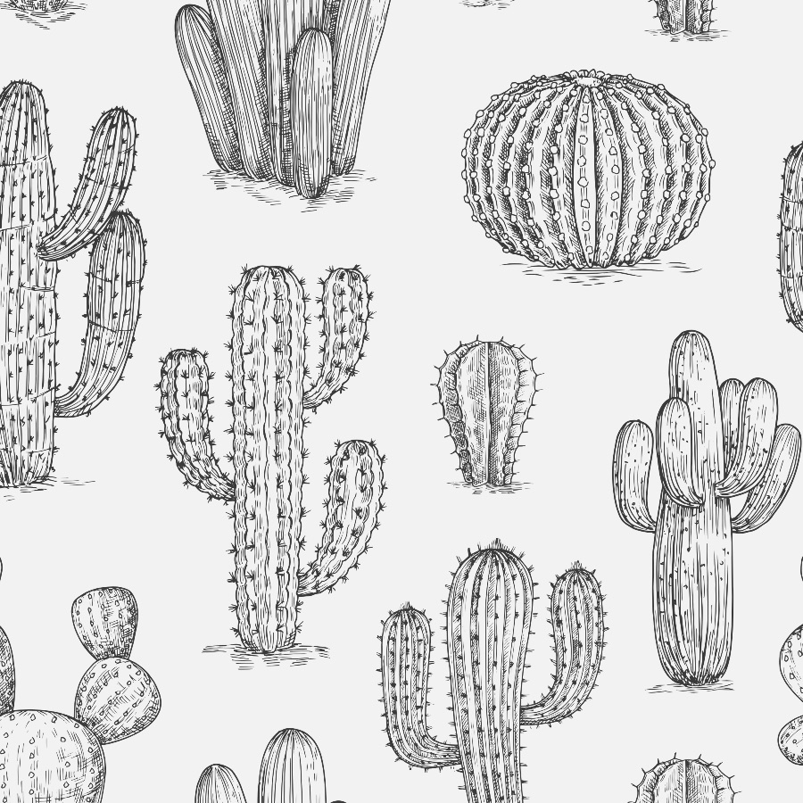 Black And White Cactus Wallpapers