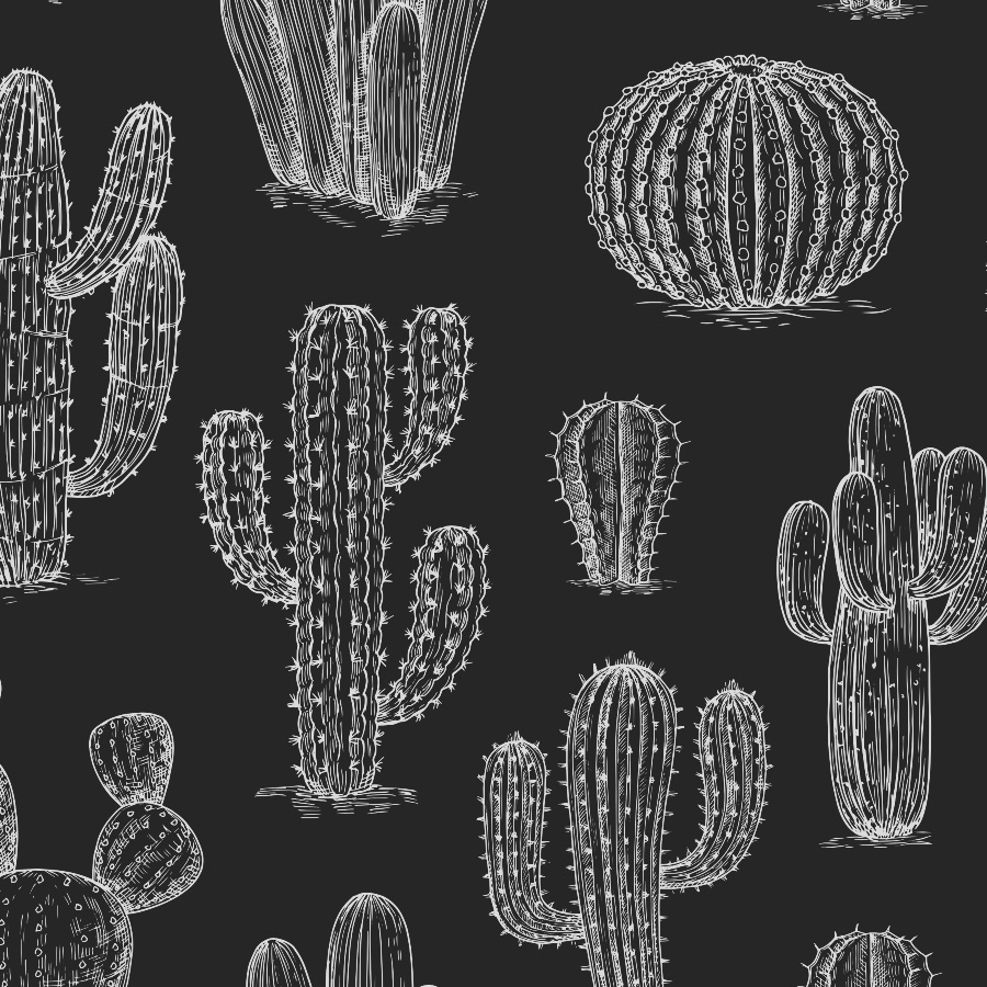 Black And White Cactus Wallpapers