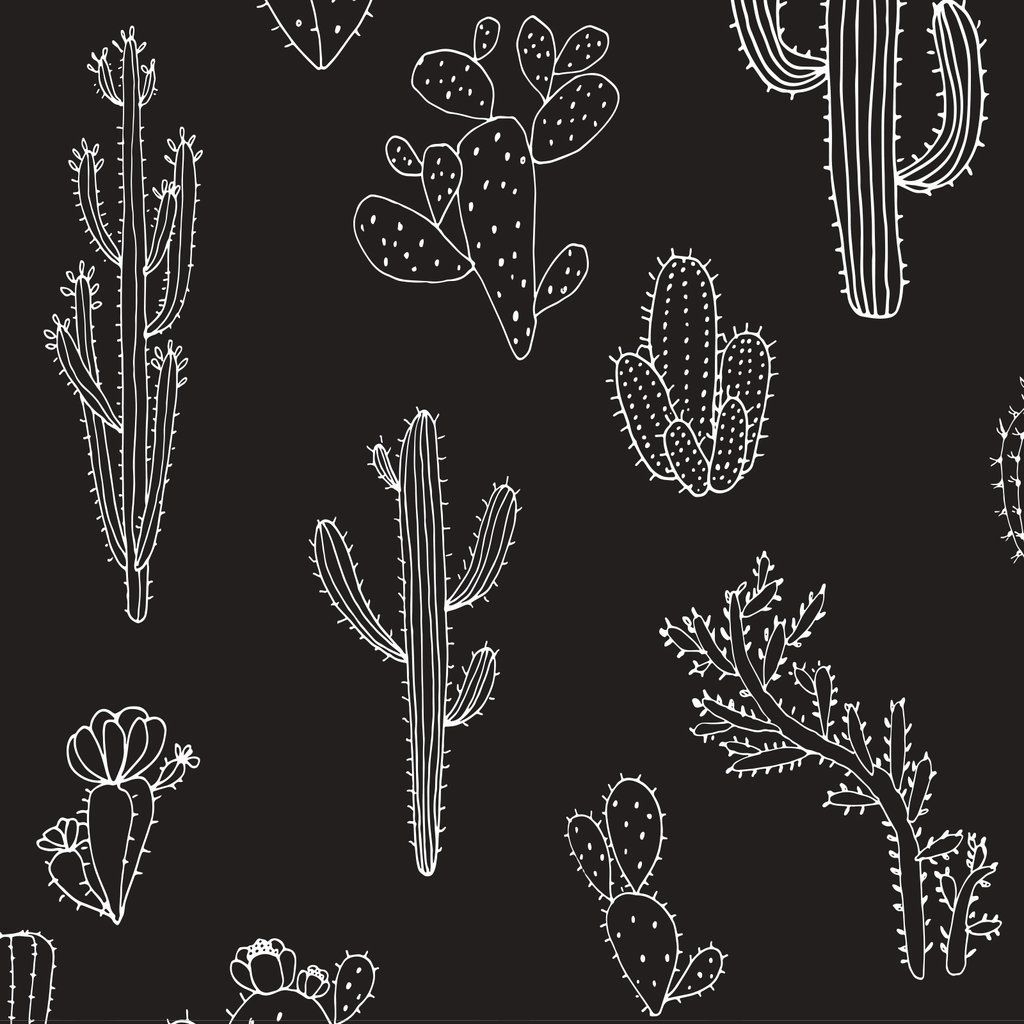 Black And White Cactus Wallpapers