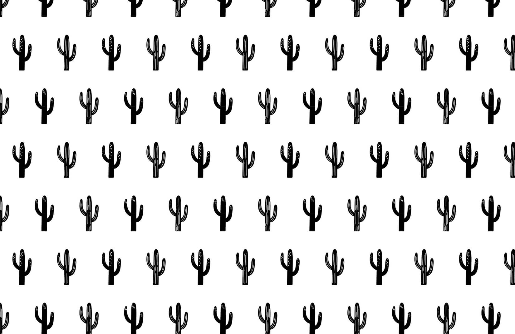 Black And White Cactus Wallpapers