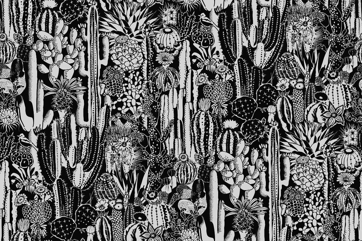 Black And White Cactus Wallpapers