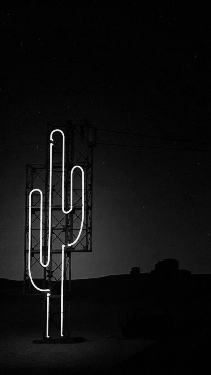 Black And White Cactus Wallpapers