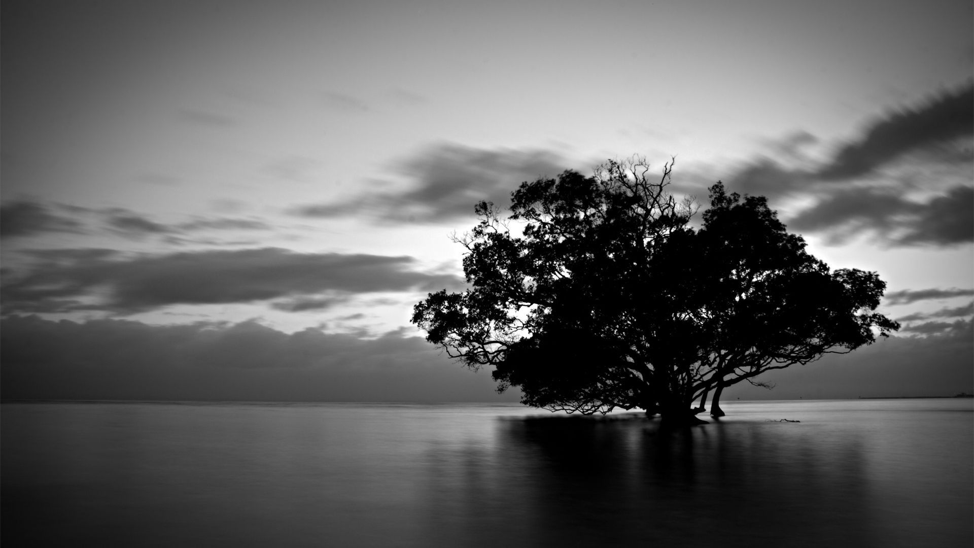 Black And White Landscape Wallpapers