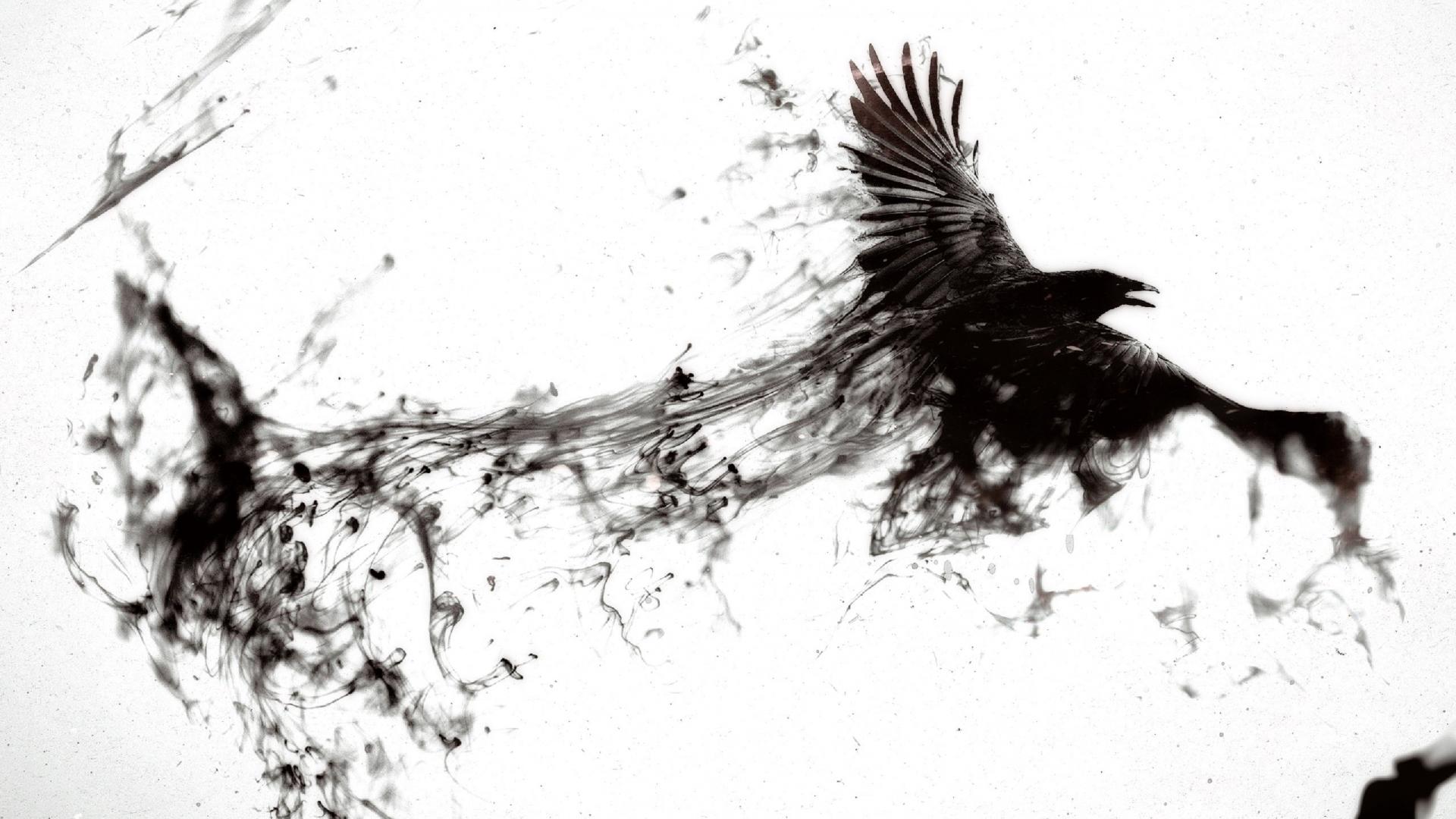 Black Bird Wallpapers