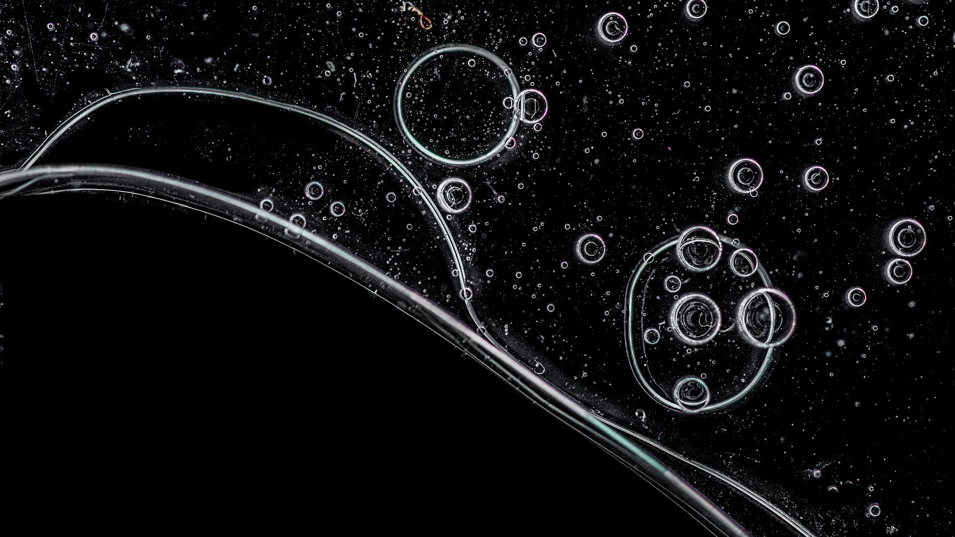 Black Bubbles Wallpapers