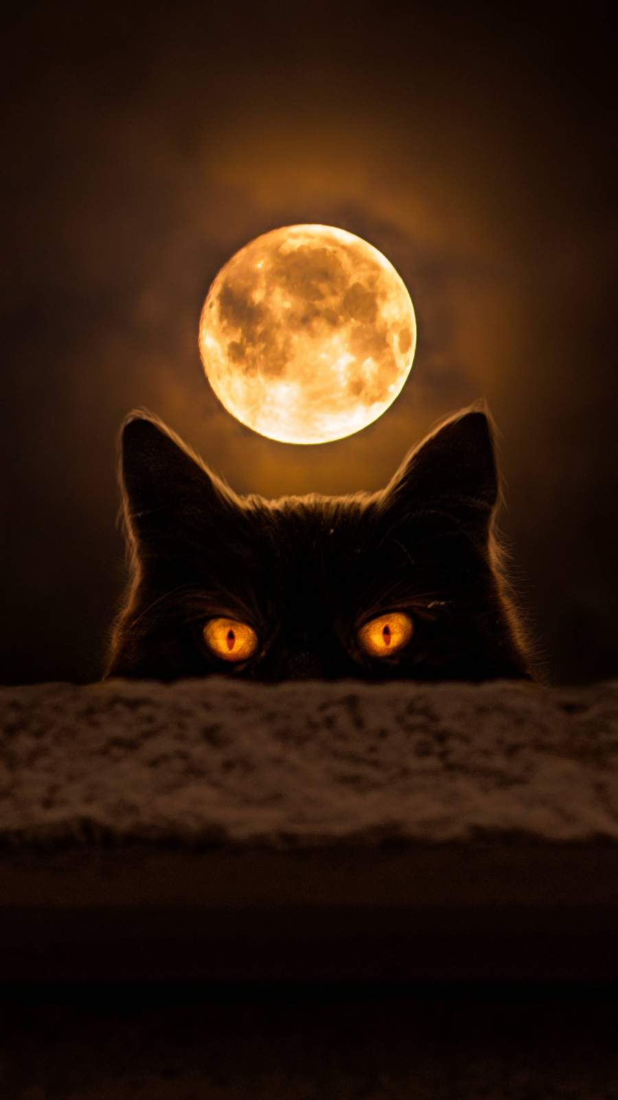 Black Cat Eye Wallpapers