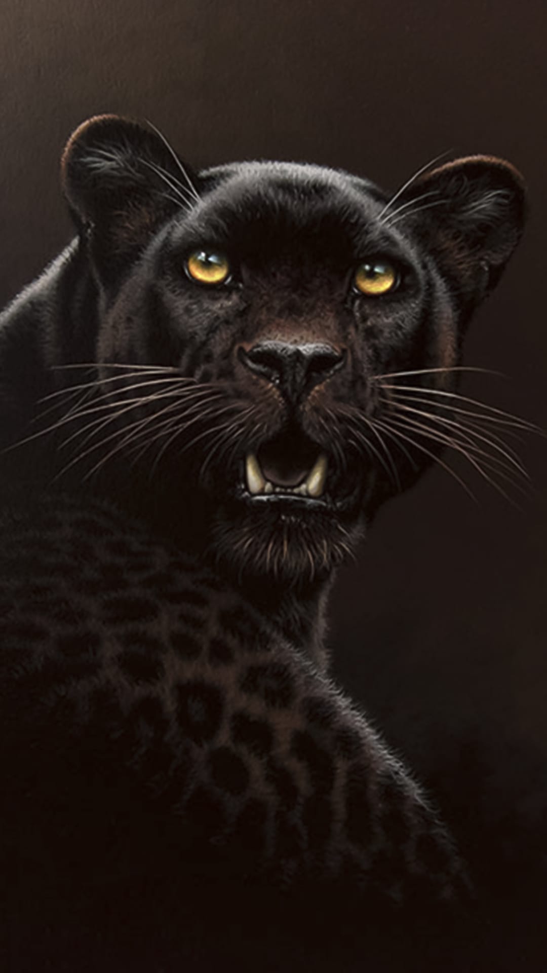 Black Cheetah Wallpapers