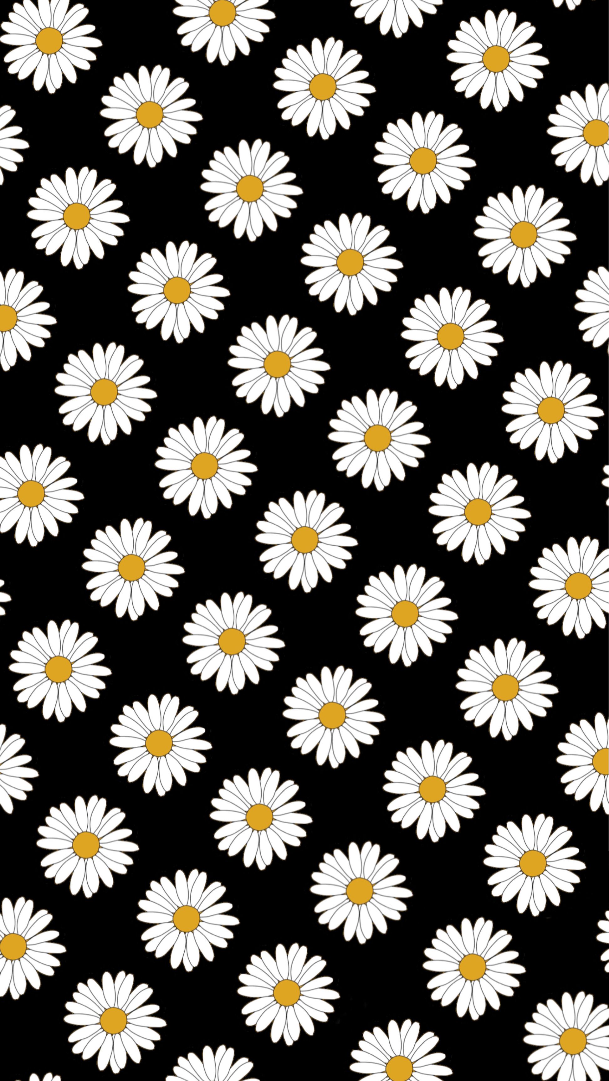 Black Daisy Wallpapers