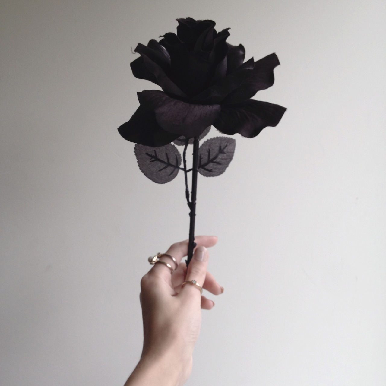 Black Flowers Aesthetic Wallpapers