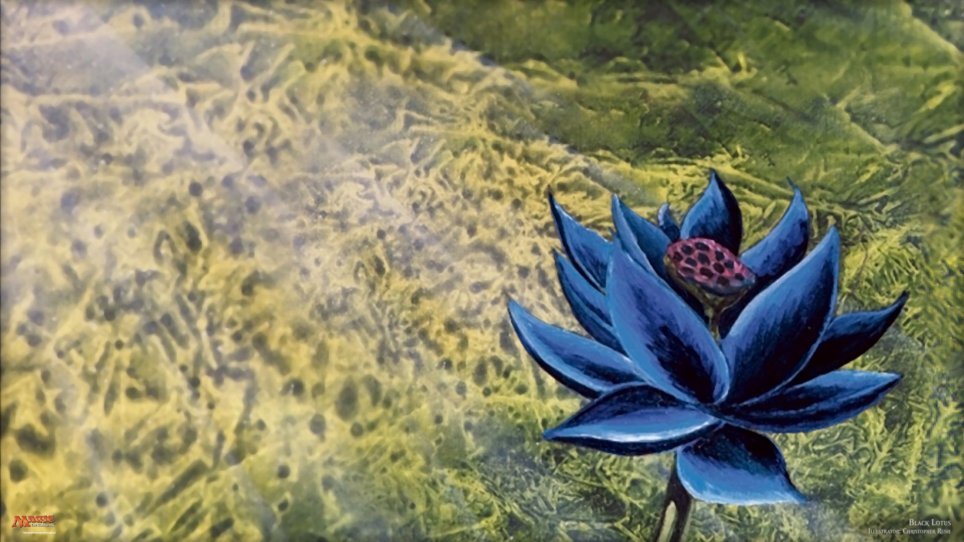 Black Lotus Wallpapers