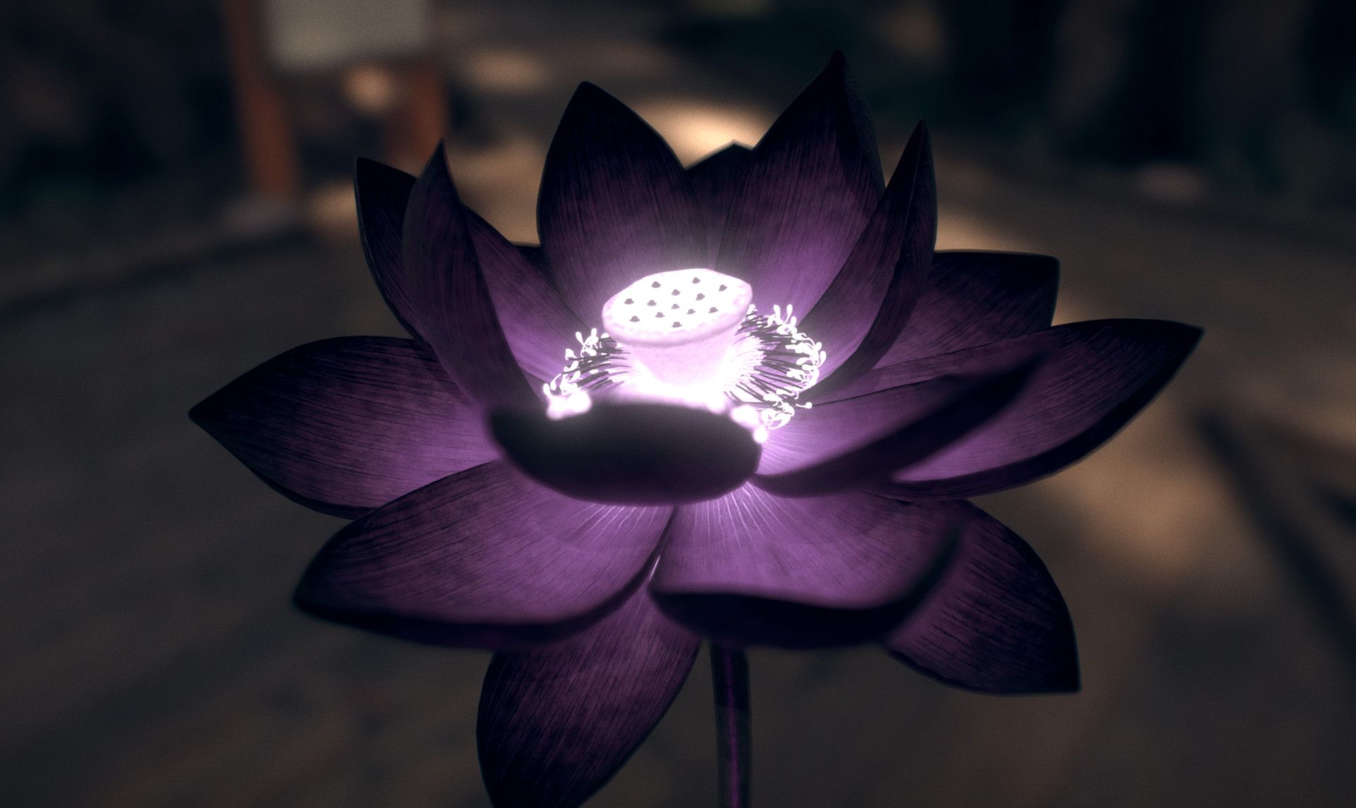 Black Lotus Wallpapers