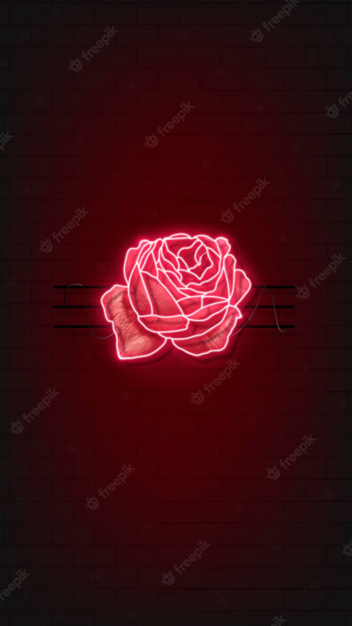 Black Neon Rose Wallpapers