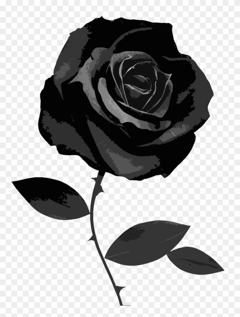 Black Roses Wallpapers