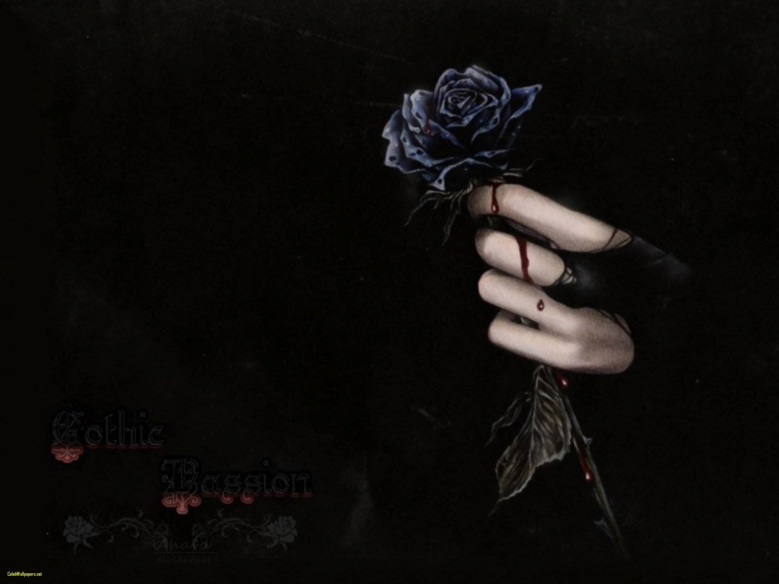 Black Roses Wallpapers