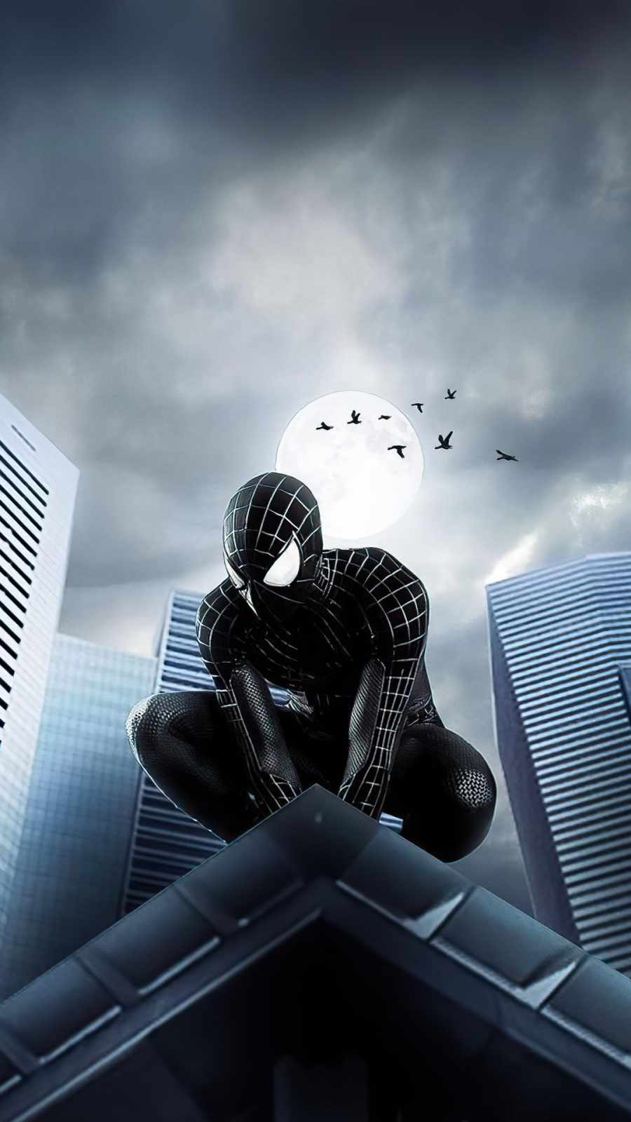 Black Spiderman Iphone Wallpapers