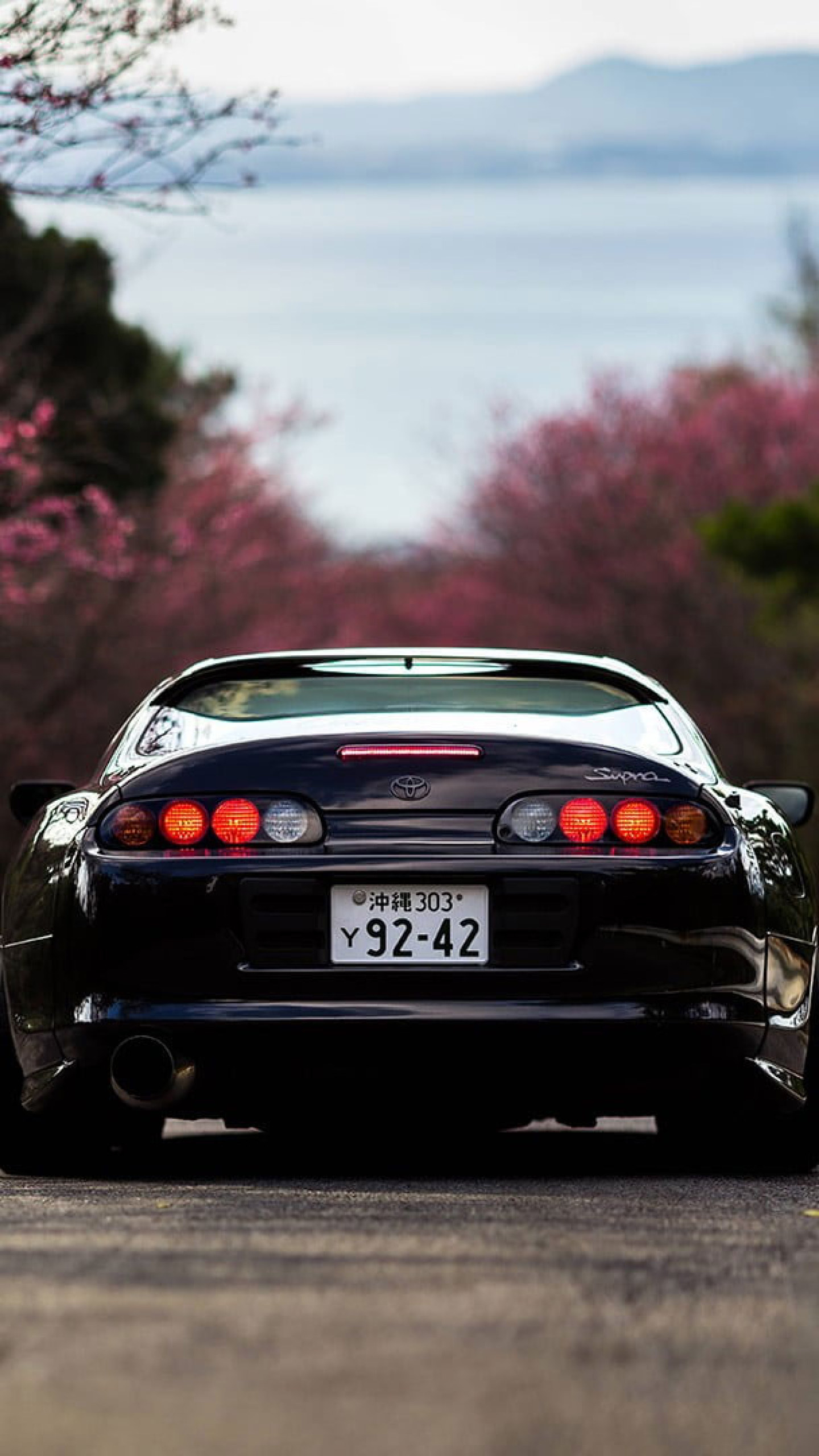 Black Supra Wallpapers