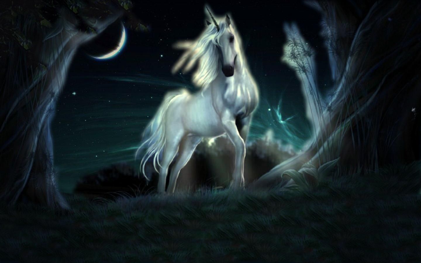 Black Unicorns With Wings Wallpapers