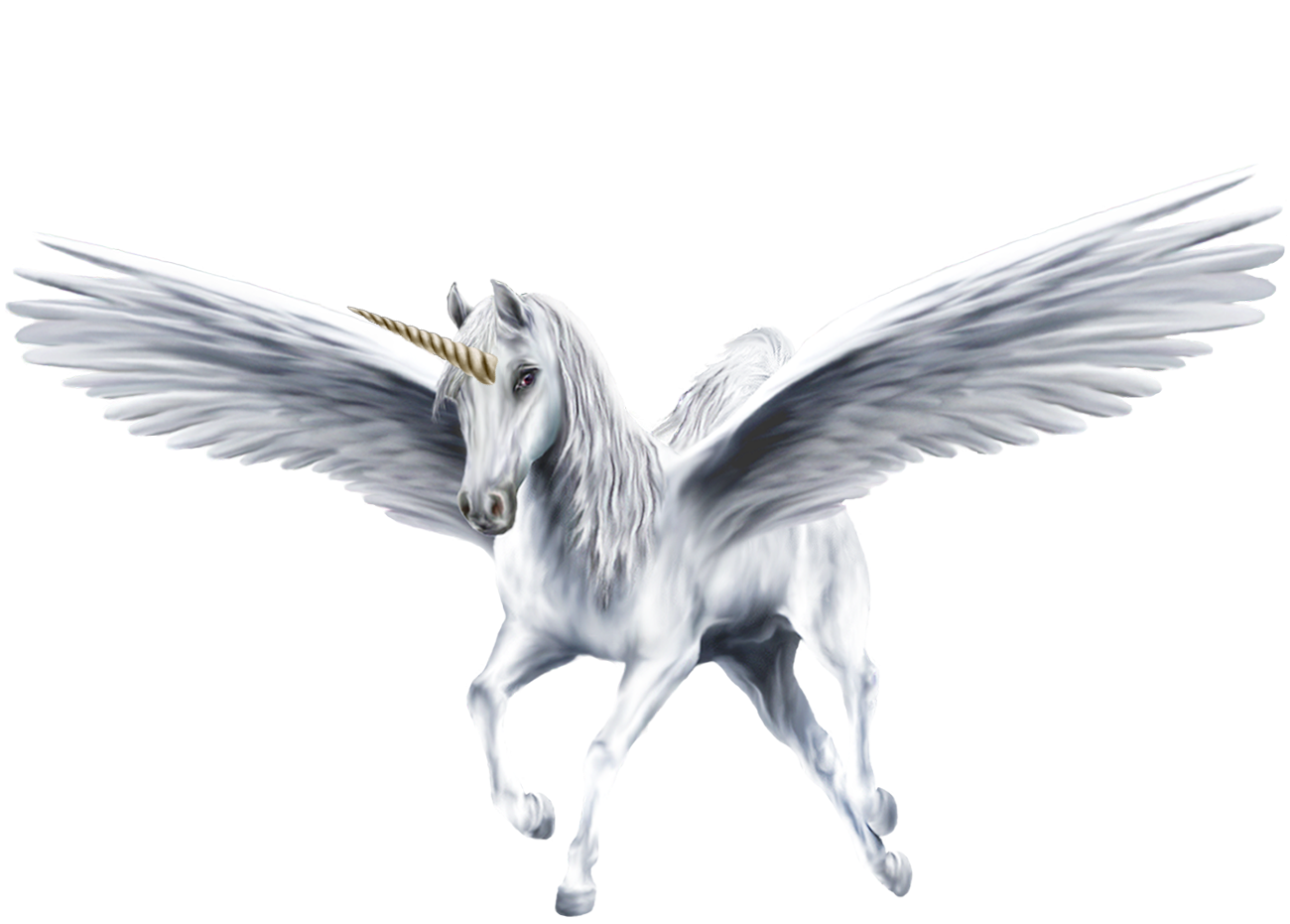 Black Unicorns With Wings Wallpapers