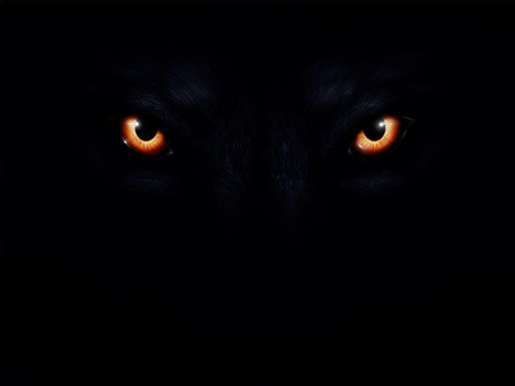 Black Wolf Red Eyes Wallpapers