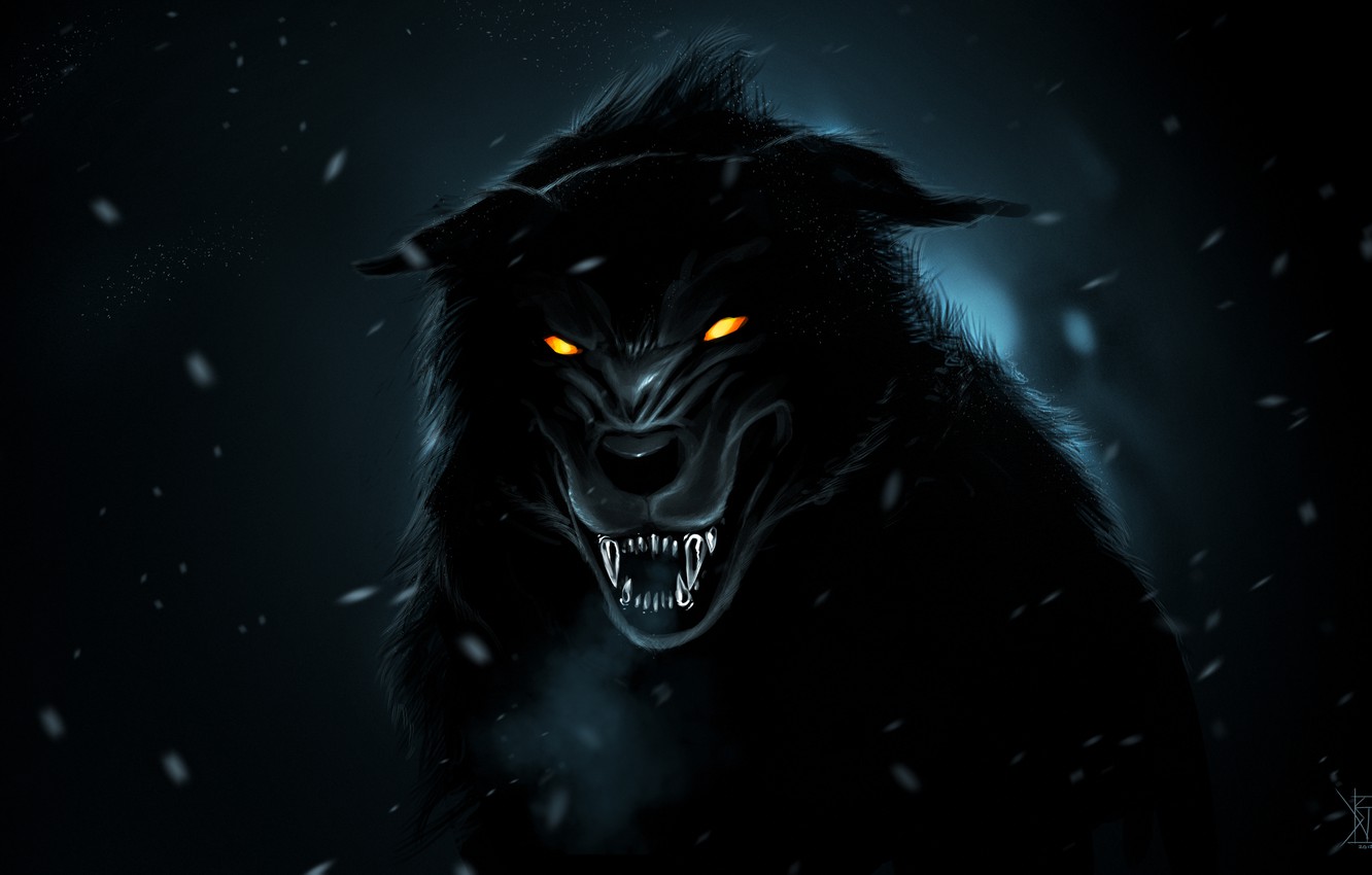 Black Wolf Wallpapers