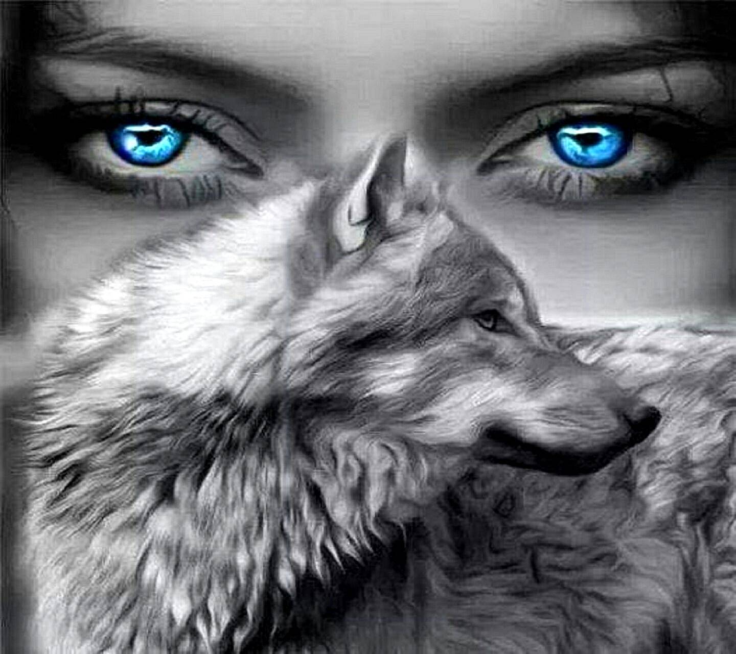 Black Wolves With Blue Eyes Wallpapers