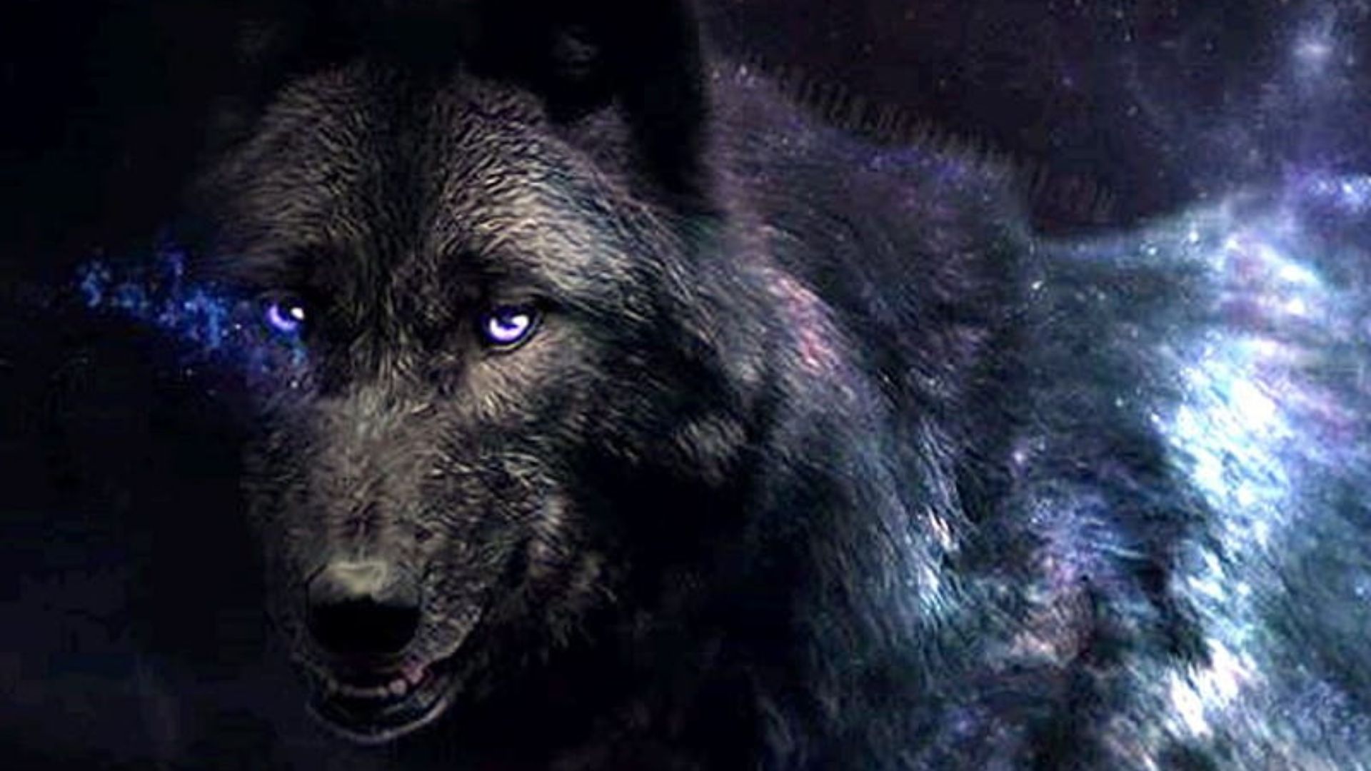 Black Wolves With Blue Eyes Wallpapers