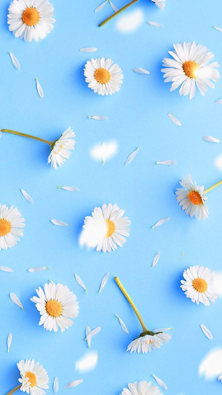 Blue Aesthetic Flowers Wallpapers