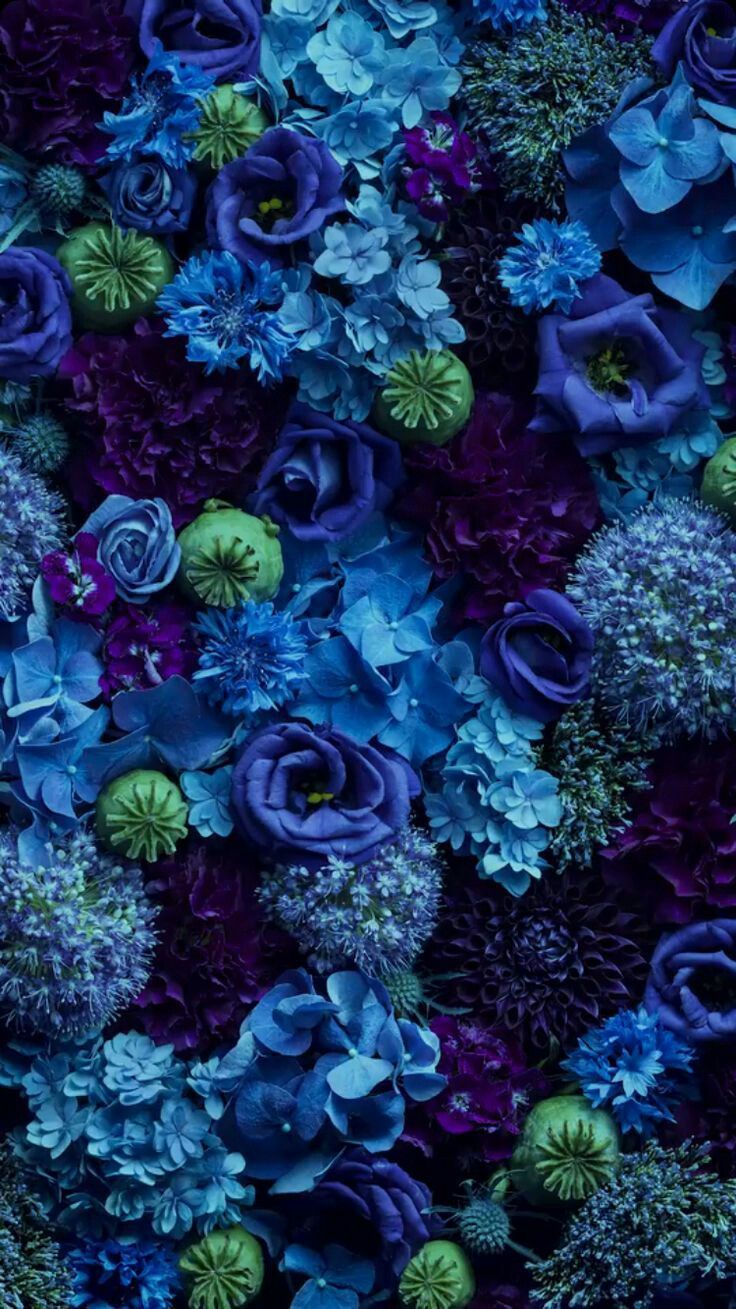 Blue Aesthetic Flowers Wallpapers