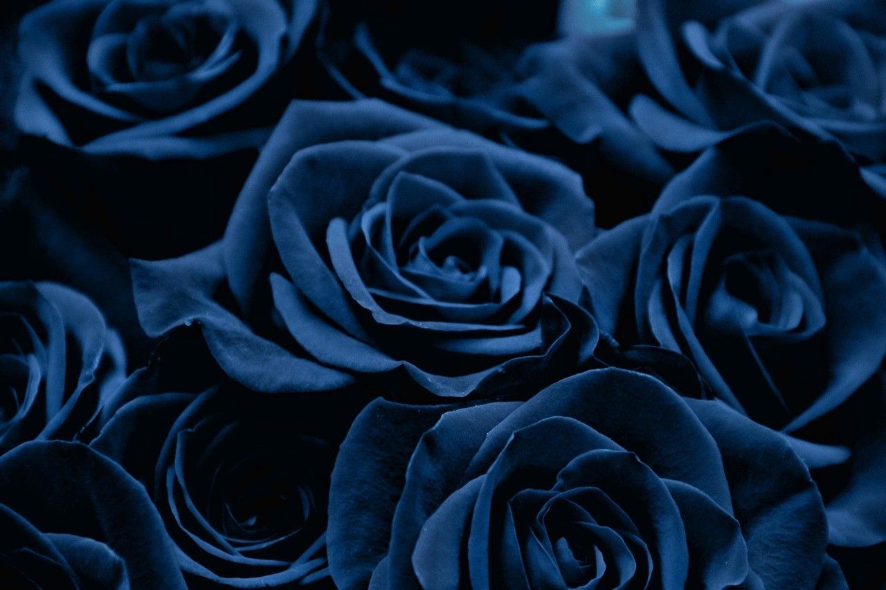 Blue Aesthetic Flowers Wallpapers