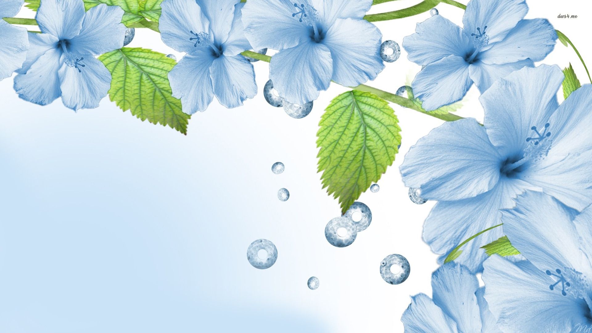 Blue Aesthetic Flowers Wallpapers